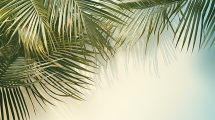 Fototapeta premium Natural background with palm leaves shadow