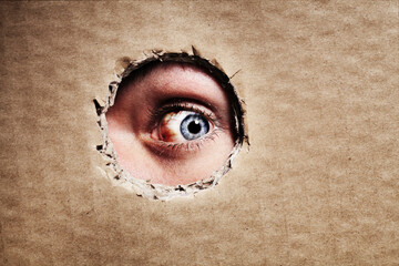 Closeup, cardboard and eye spy on hole, peek and search on mockup space. Face, macro and man peeping through paper board for secret, security and watch for surveillance, discover mystery and privacy - obrazy, fototapety, plakaty