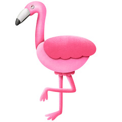 pink flamingo bird