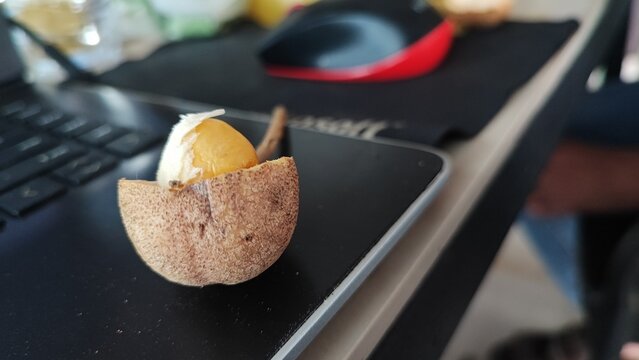 Baccurea Macrocarpa, also known as a donkey, is a kind of fruit plants originating from Southeast Asia