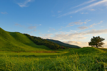 A summer landscape of green meadows, beautiful mountains, and golden cloudy sunsets.