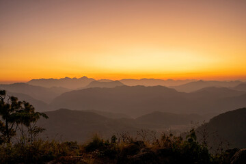 Nature's Embrace: The tranquil interplay of mountain silhouettes and a golden sky, punctuated by the delicate presence of foreground foliage