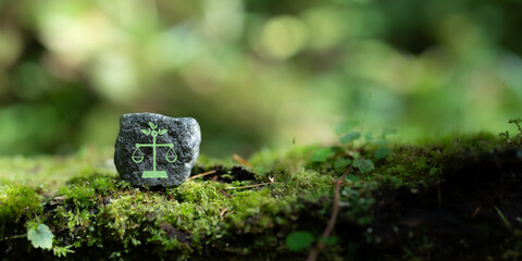 International environmental law concept. Climate or environmental justice. Environmental regulations for sustainable business corporate and industry. International law for environmental protection.