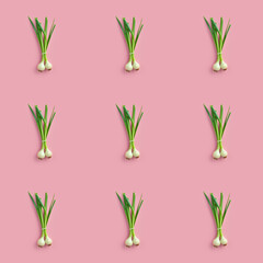 Fototapeta na wymiar Organic natural Green Onion vegetable seamless photo pattern on a solid color background