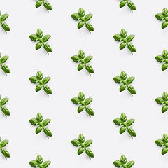 Organic natural Basil vegetable seamless photo pattern on a solid color background