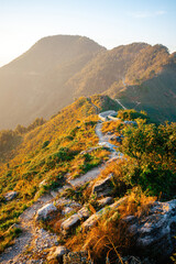 Golden Hour Ascent: A sunlit mountain path leading towards a verdant peak, with the warm hues of...