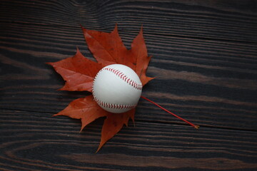 Red maple leaf and white baseball on black background. White baseball on red maple leaf/