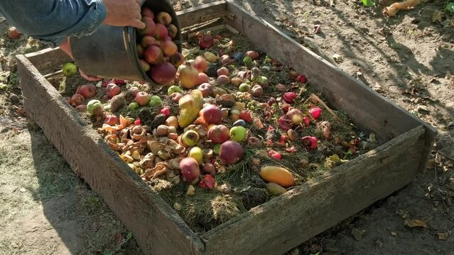 Organic waste falling from a bucket into a compost pit. Bio-waste recycling. Compost bin with organic waste. Bio food waste composting bin. Biodegradable material, organic recycling concept