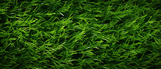 Green Closeup Grass Texture Background - obrazy, fototapety, plakaty