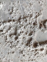 Texture of the fence wall