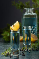 Gin with juniper berries and lemon slices.