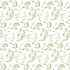 Fototapeta na wymiar Dill branches, leaves, flowers and seeds in one pattern similar to green fennel on a white background. Light background for fabric or label design. Vector image.