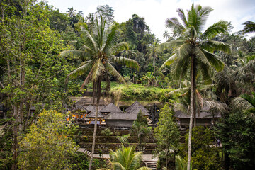 Fototapeta na wymiar Gunung Kawi Royal Tombs. A beautiful complex with carved stone temples and tombs of the king and his relatives. Hindu belief in the tropical landscape in Bali