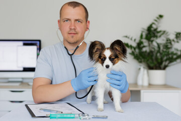 Young vet checking up the dog on table in medical office
