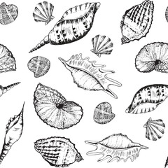 Hand-drawn ink illustration. Black and white. Seamless pattern with sea shells on white background. Vector