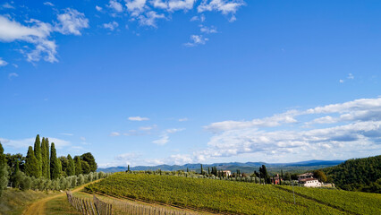 Fototapeta premium Le colline e i vigneti attorno al borgo di Vagliagli . Panorama autunnale. Chianti, Toscana. Italia