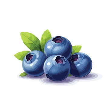 vector blueberries illustration isolated on white background, vector bluberry wirh leaves