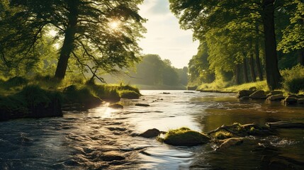 beautiful realistic river photos