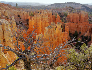 Fairytale landscape of glowing rock towers in the American Bryce Canyon.