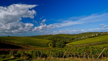 Fototapeta premium Le colline e i vigneti del Castello di Brolio sul percorso dell'Eroica . Panorama autunnale. Chianti, Toscana. Italia