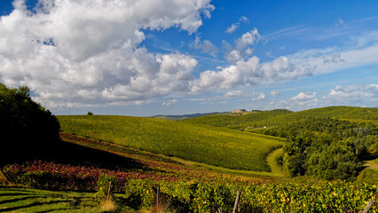 Le colline e i vigneti del Castello di Brolio sul percorso dell'Eroica . Panorama autunnale. Chianti, Toscana. Italia