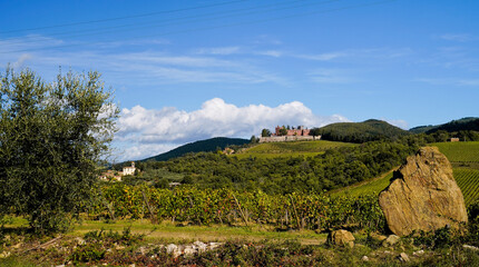 Le colline e i vigneti del Castello di Brolio sul percorso dell'Eroica . Panorama autunnale....