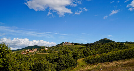 Fototapeta na wymiar Le colline e i vigneti del Castello di Brolio sul percorso dell'Eroica . Panorama autunnale. Chianti, Toscana. Italia
