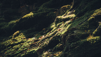Vallegne River Beautiful Waterfall Landscape