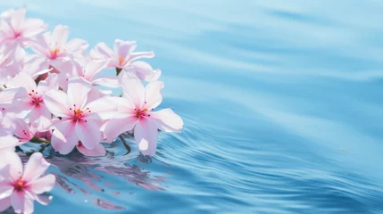 Foto auf Acrylglas Cherry blossom sakura flower in spring over blue water background Generative AI © AlexandraRooss