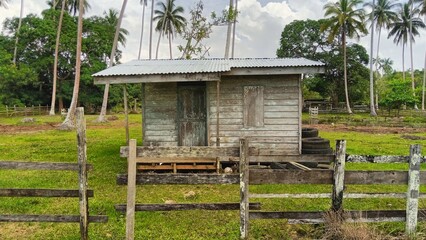 wooden house in the garden