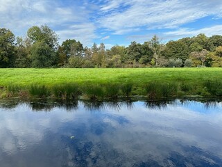 Fototapeta na wymiar Beautiful pond, green grass and trees in park