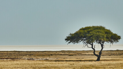 Namibia