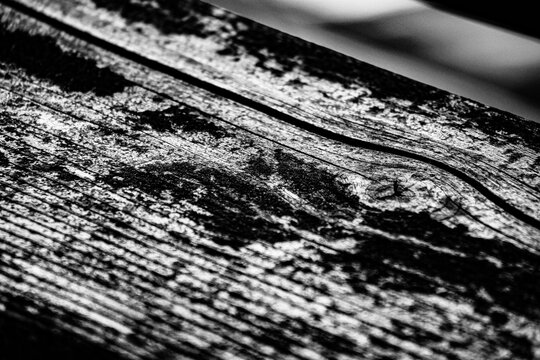 black and white wood abstract