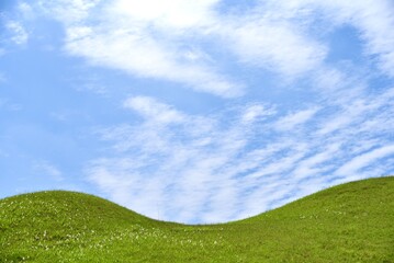 green grass and blue sky