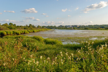Nature of Koivusaari island by Rovaniemi in Lapland, Finland