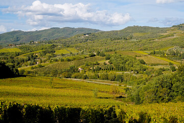 Le colline e i vigneti di Radda in Chianti. Panorama autunnale. Toscana. Italia