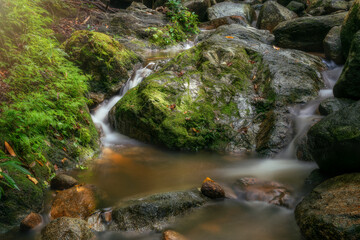 Waterfall in lush forest with golden sunlight shining down on stream surrounded by beautiful trees.