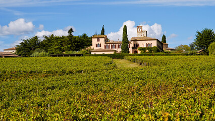 Le colline e i vigneti sul percorso dell'Eroica . Panorama autunnale. Chianti, Toscana. Italia-8