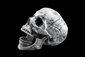 Side view of human skull isolated on a black background. (This is toy model for decorate)