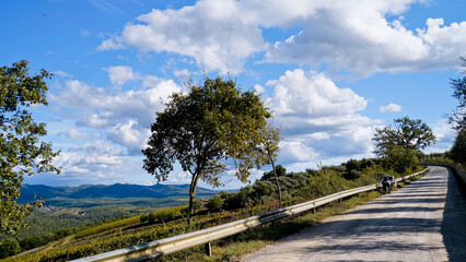 Le colline e i vigneti sul percorso dell'Eroica . Panorama autunnale. Chianti, Toscana. Italia-8