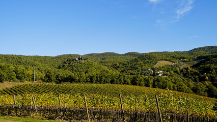 Fototapeta premium Le colline e i vigneti sul percorso dell'Eroica . Panorama autunnale. Chianti, Toscana. Italia