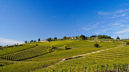 Le colline e i vigneti sul percorso dell'Eroica . Panorama autunnale. Chianti, Toscana. Italia