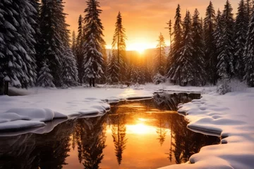 Fotobehang A serene winter scene of snow-covered fir branches, glistening under the soft glow of the morning sun, creating a beautiful and peaceful landscape © aicandy
