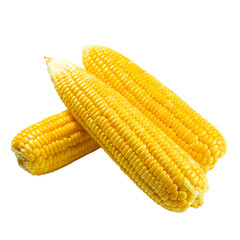 Peeled corn on the cob on a white background. Corn on the cob kernels peeled , Corn on the cob kernels peeled. Cob of ripe sweet corn isolated . Sweet boiledcob isolated on white background