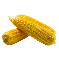 Peeled corn on the cob on a white background. Corn on the cob kernels peeled , Corn on the cob kernels peeled. Cob of ripe sweet corn isolated . Sweet boiledcob isolated on white background