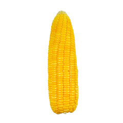 Peeled corn on the cob on a white background. Corn on the cob kernels peeled , Corn on the cob kernels peeled. Cob of ripe sweet corn isolated . Sweet boiledcob isolated on white background