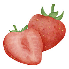 Watercolor illustration of strawberry isolated on transparent background