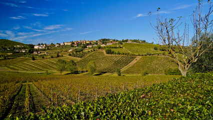 Fototapeta na wymiar Le colline e i vigneti sul percorso dell'Eroica . Panorama autunnale. Chianti, Toscana. Italia