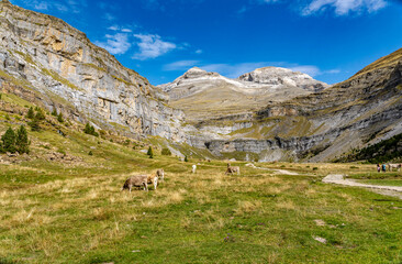 Landscapes of the Pyrenees