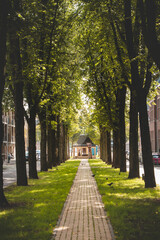 Walk through an alley to a gazebo to relax after work in Den Haag, Netherlands